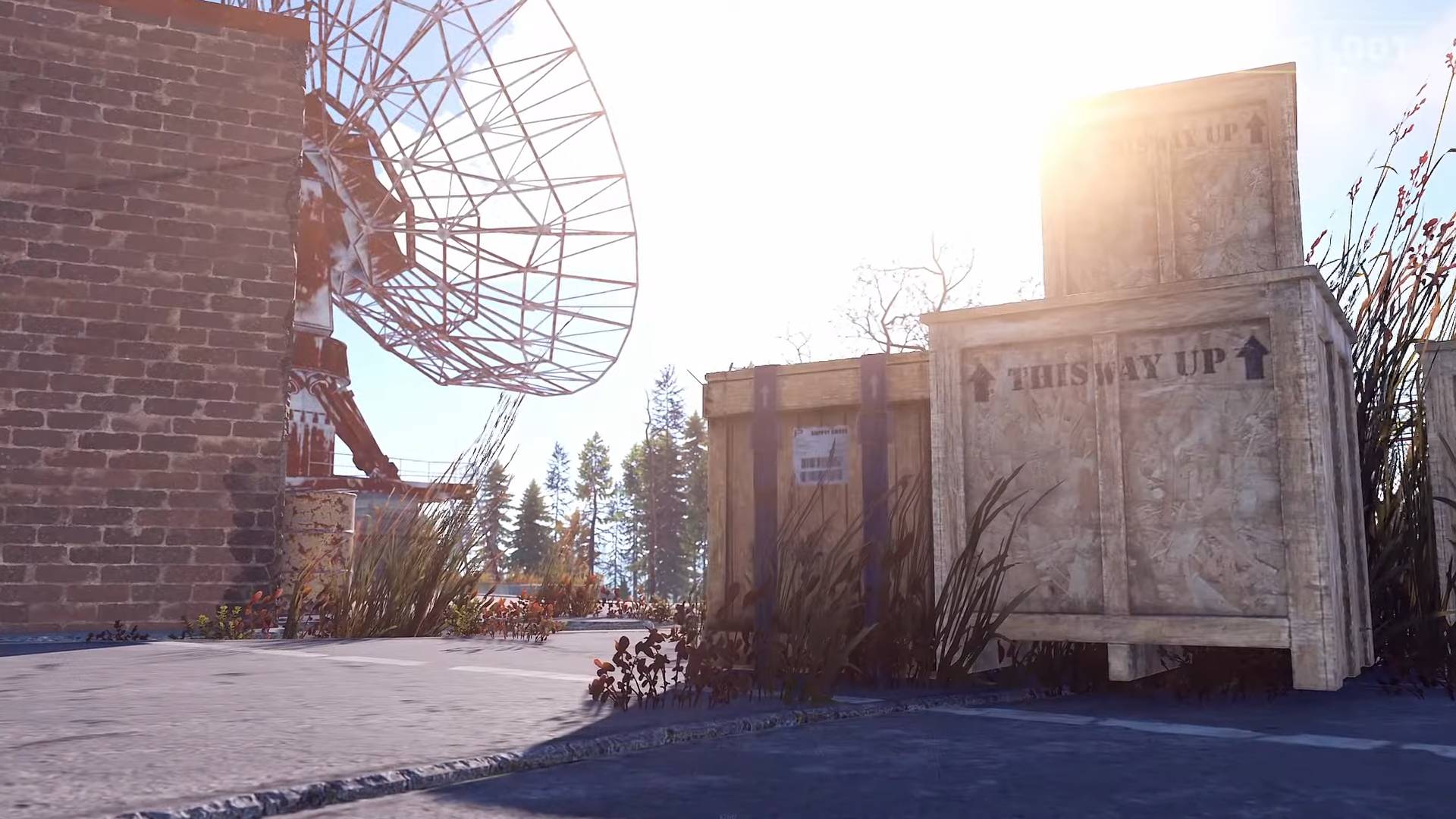 Satellite Dish