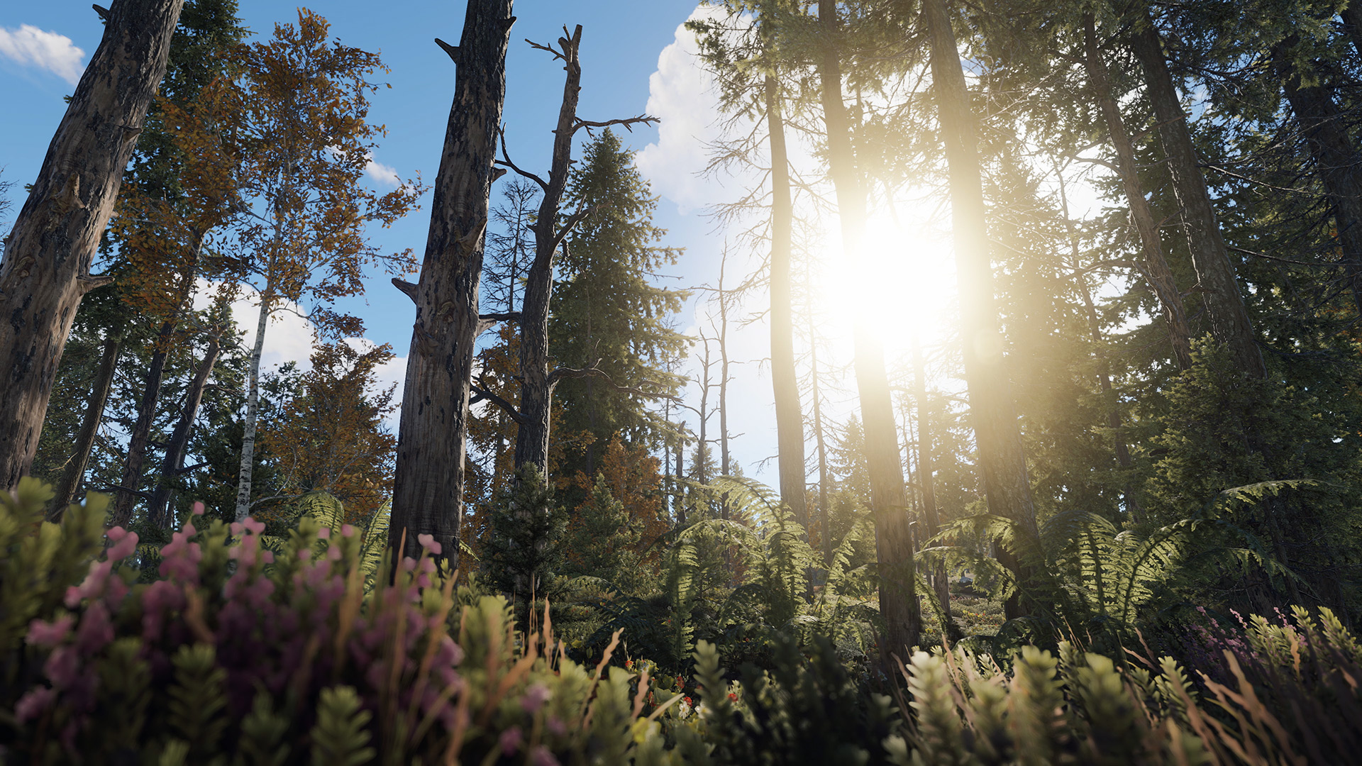 Rust guide for beginners